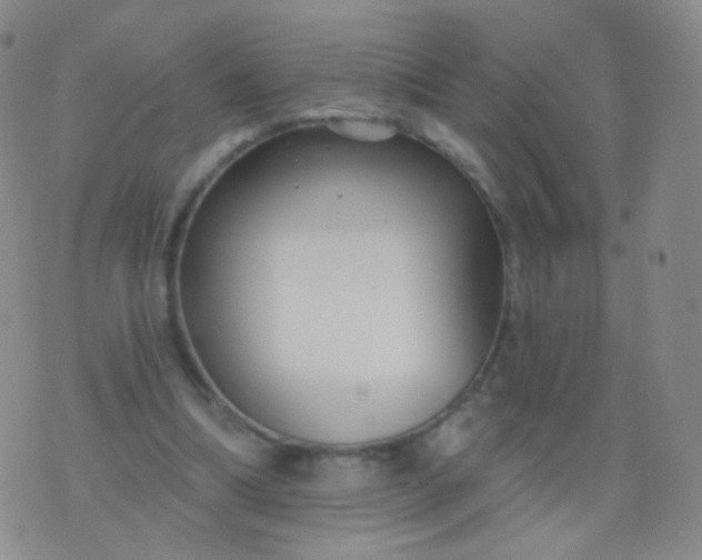 X0000076400298200610202137