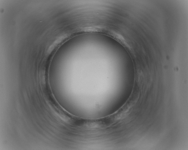 X0000076400299200610202137