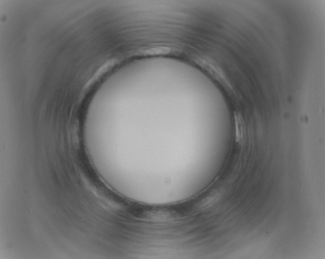 X0000076400300200610202137