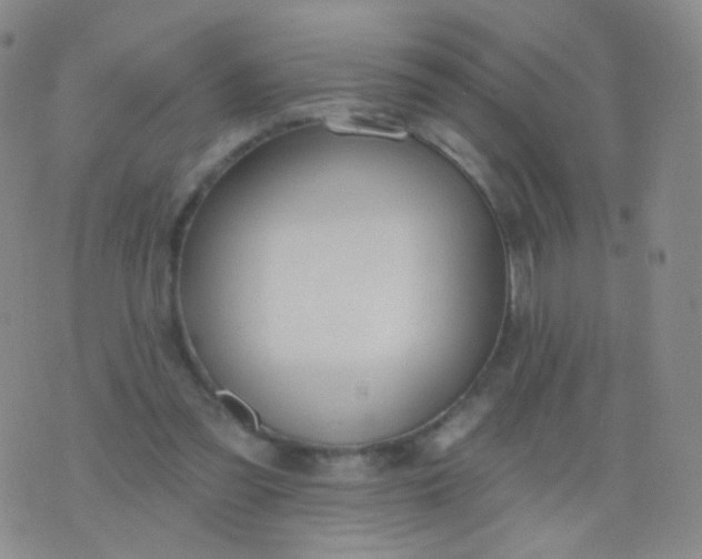 X0000076400301200610202137