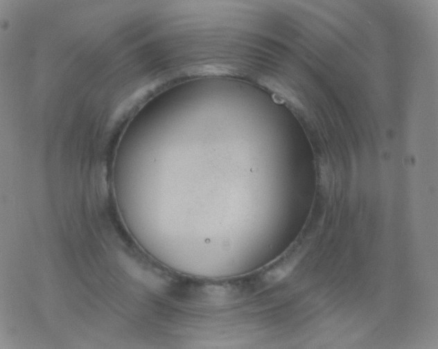 X0000076400302200610202137