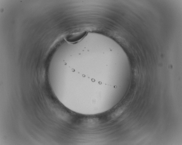 X0000076400304200610202137