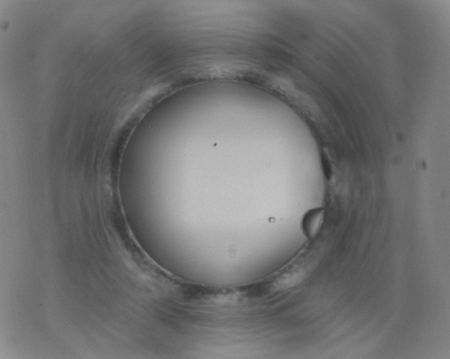 X0000076400306200610202137