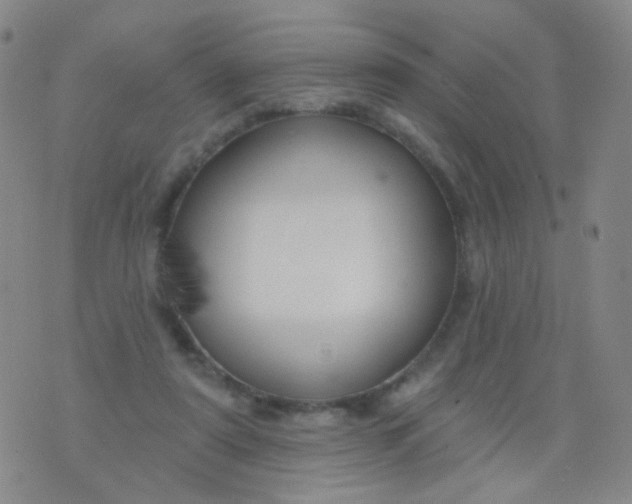 X0000076400307200610202137