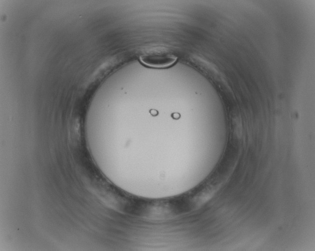 X0000076400308200610202137