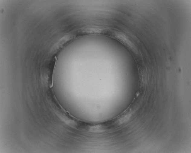 X0000076400309200610202136