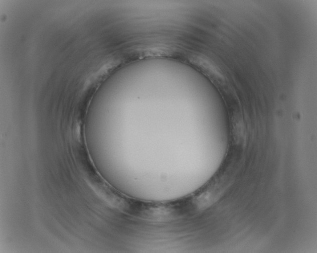 X0000076400310200610202136