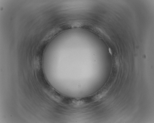 X0000076400311200610202136