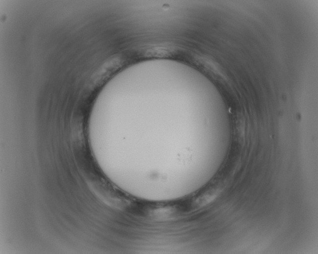 X0000076400312200610202136