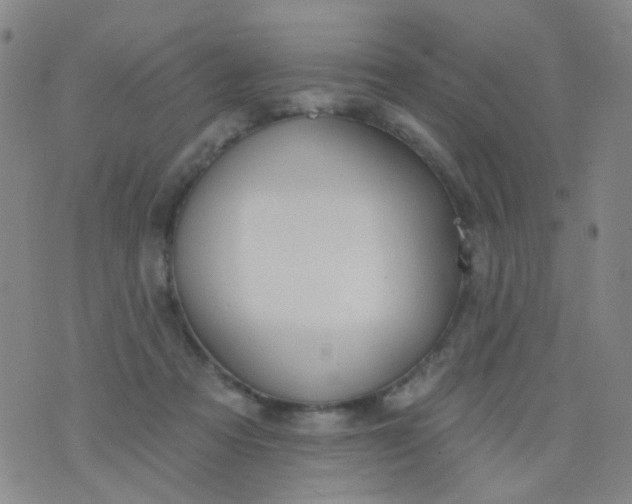 X0000076400313200610202136