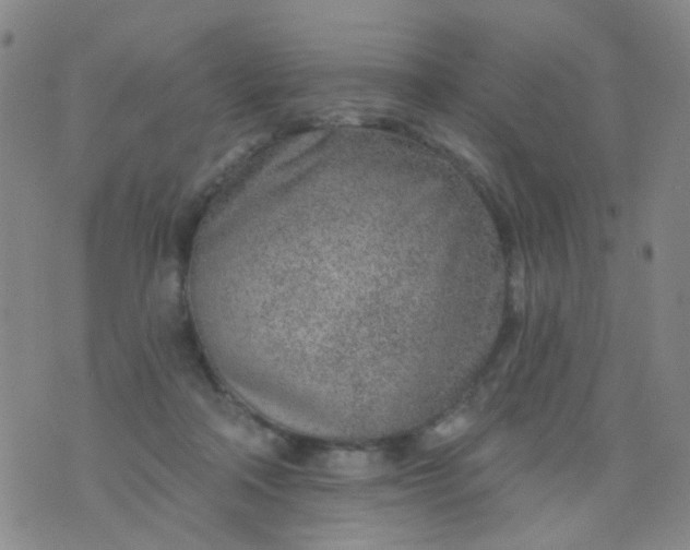 X0000076400314200610202136