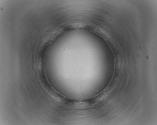 X0000076400315200610202136