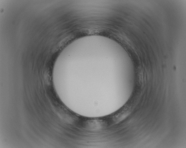 X0000076400316200610202136