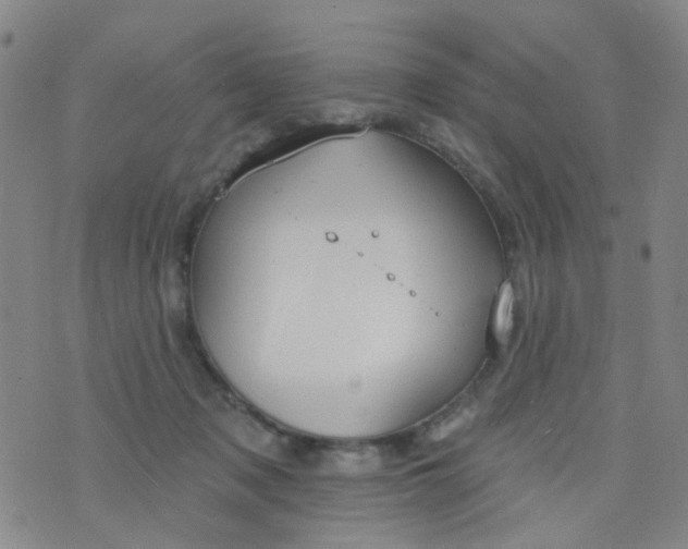 X0000076400317200610202136