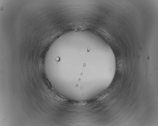 X0000076400318200610202136