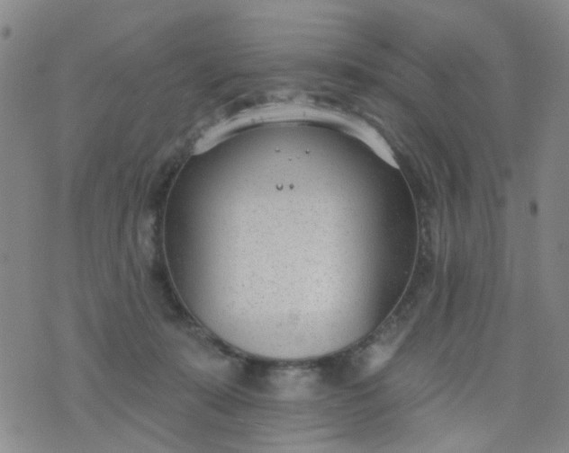 X0000076400319200610202136