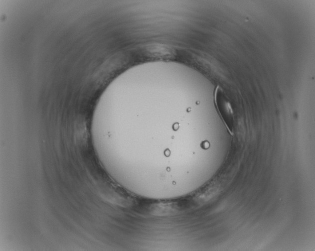 X0000076400320200610202136