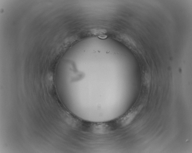 X0000076400321200610202136