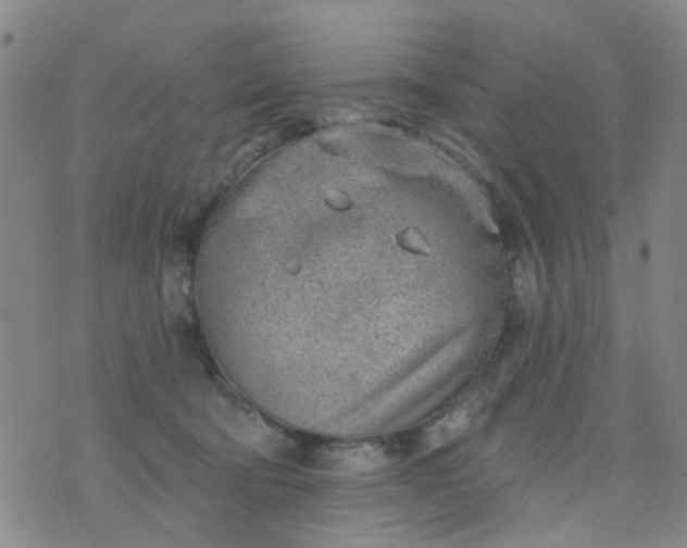 X0000076400322200610202136