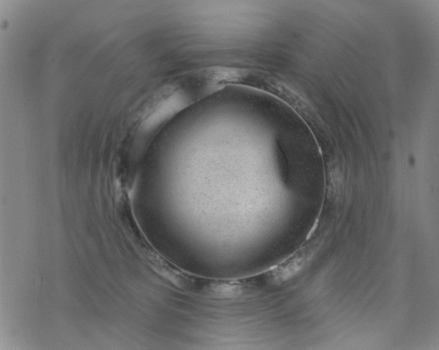 X0000076400325200610202136