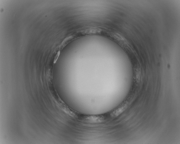 X0000076400326200610202136