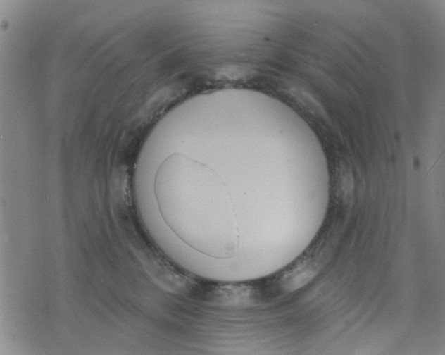 X0000076400328200610202136