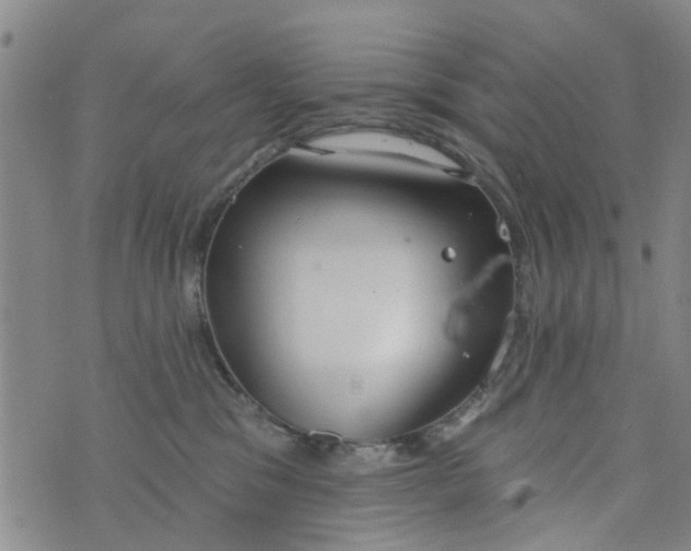 X0000076400329200610202136