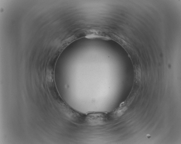 X0000076400331200610202136