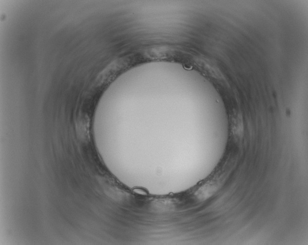 X0000076400332200610202136