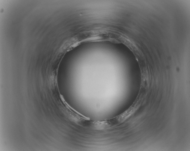 X0000076400333200610202136