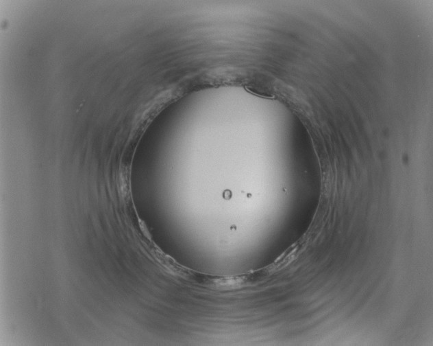 X0000076400335200610202136