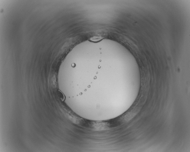 X0000076400336200610202136