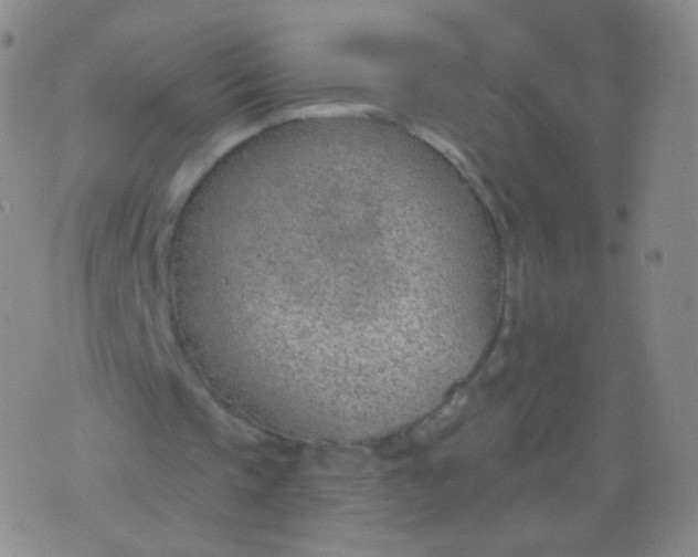 X0000076400337200610202135