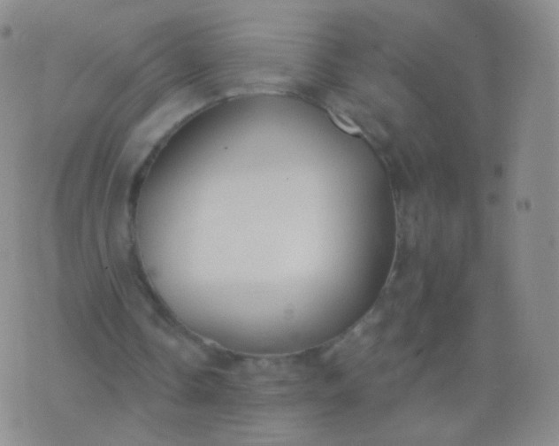 X0000076400338200610202135