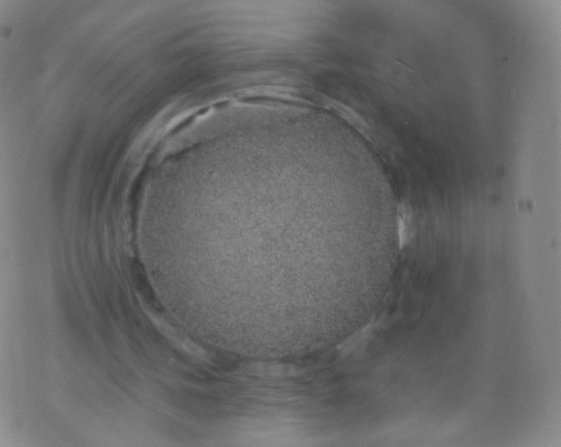 X0000076400339200610202135