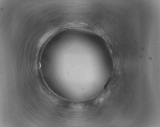 X0000076400340200610202135