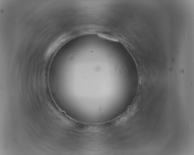 X0000076400341200610202135