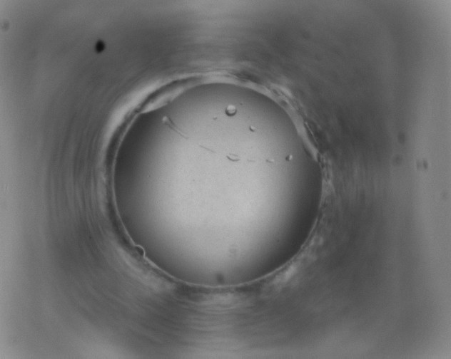 X0000076400342200610202135