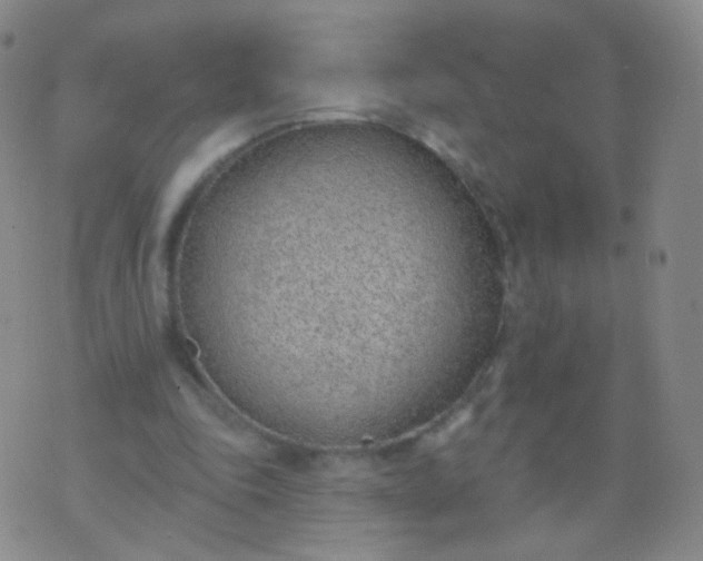 X0000076400343200610202135