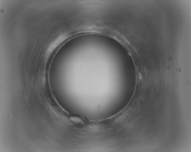 X0000076400344200610202135