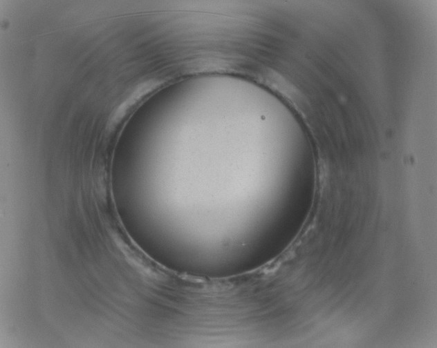 X0000076400345200610202135