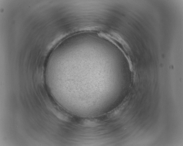 X0000076400346200610202135