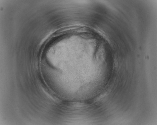 X0000076400347200610202135