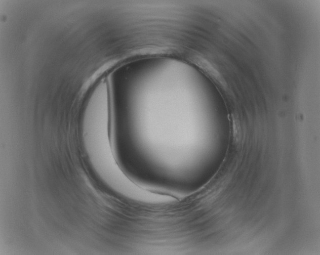 X0000076400348200610202135