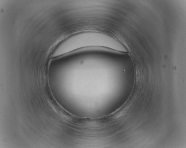 X0000076400349200610202135