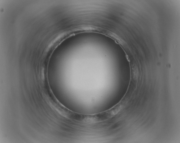 X0000076400350200610202135