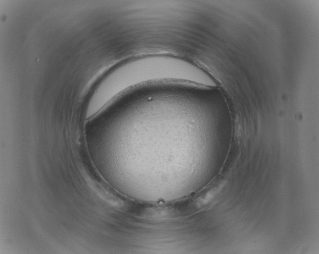 X0000076400351200610202136