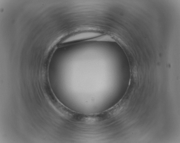 X0000076400352200610202136