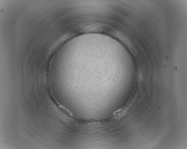 X0000076400353200610202136