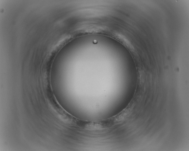 X0000076400354200610202136